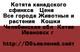 Котята канадского сфинкса › Цена ­ 15 - Все города Животные и растения » Кошки   . Челябинская обл.,Катав-Ивановск г.